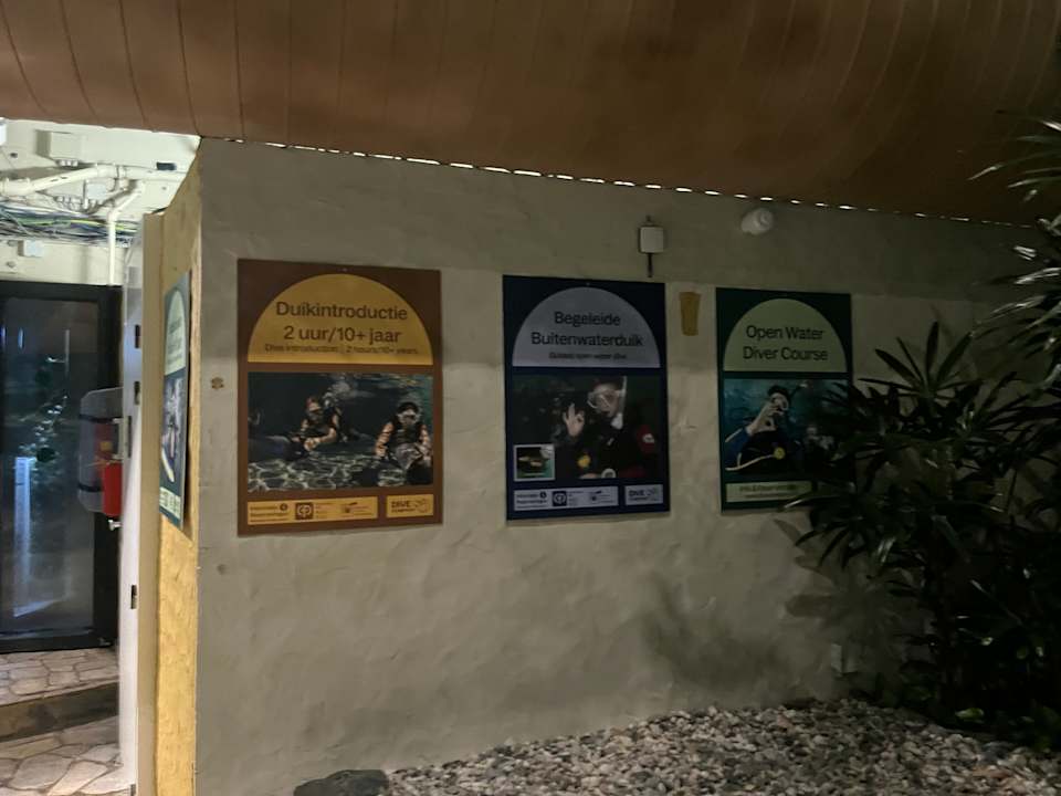 Pool Center Parcs De Kempervennen