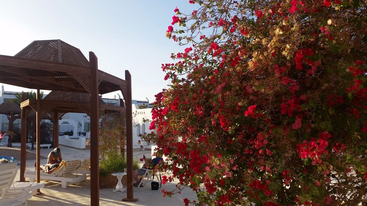 Sport & Freizeit Menaville Safaga