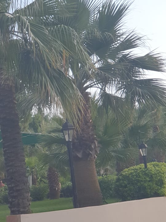 Gartenanlage Side Breeze Hotel