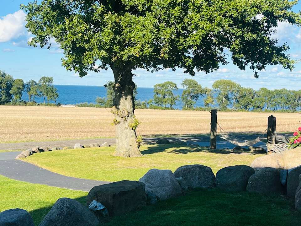Ausblick Ferienbauernhof Liesenberg mit Meerblick