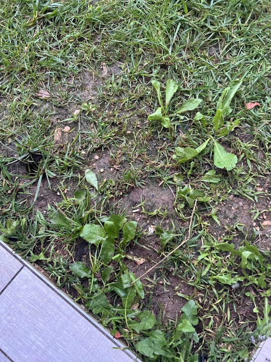 Gartenanlage Ferienanlage Residence Piani Di Clodia