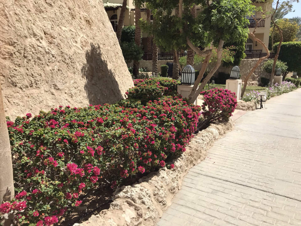 Gartenanlage The Grand Hotel Sharm El Sheikh