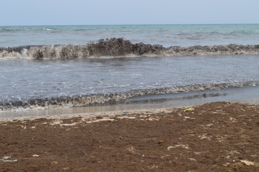 Glony Medina Solaria & Thalasso