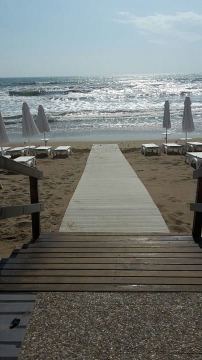 Strand Acanthus Cennet Barut Collection