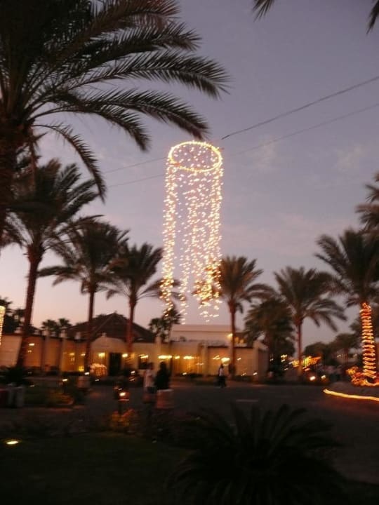 Weihnachtsstimmung bei der Rezeption  Hotel Reef Oasis Palms