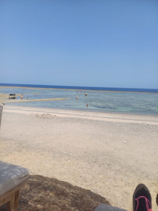Strand Pickalbatros Sea World Resort - Marsa Alam