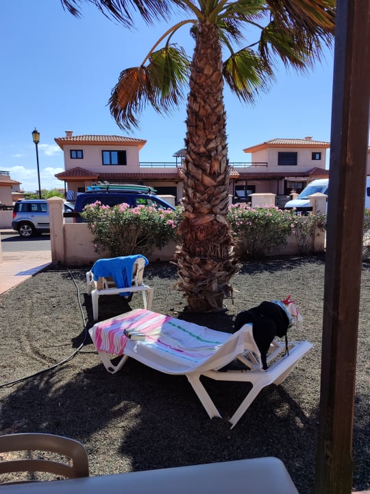 Zimmer Pierre & Vacances Fuerteventura Origo Mare Resort