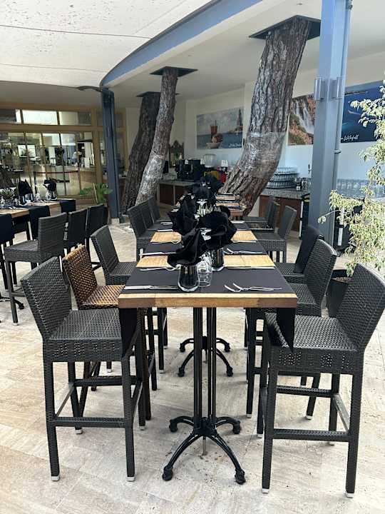 Gastro ROBINSON ÇAMYUVA