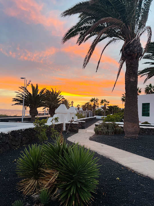 Gartenanlage Apartamentos LIVVO Las Gaviotas