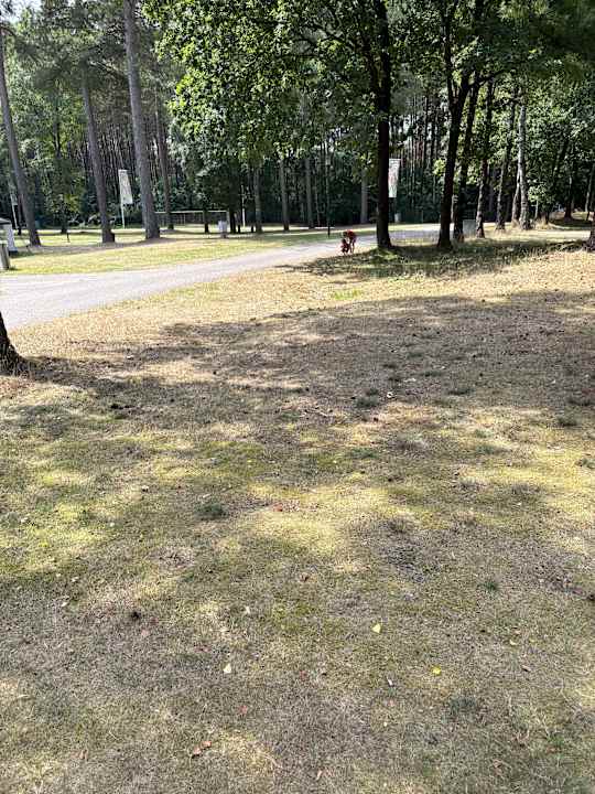 Gartenanlage Vakantiepark Boschbeek