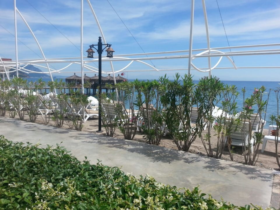 Strand Crystal Flora Pearl Collection