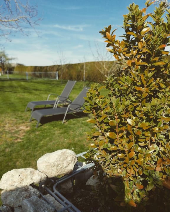 Gartenanlage Landhotel Zur Jurahöhe / Juraschlössl