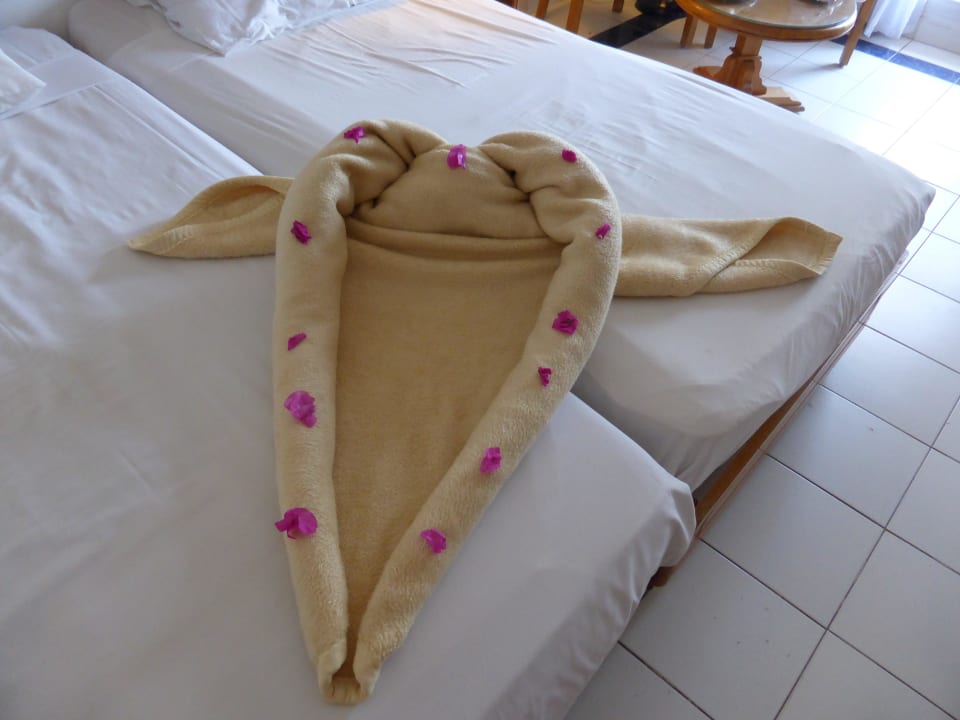 (fast) tägliche Dekoration des Bettes Desert Rose