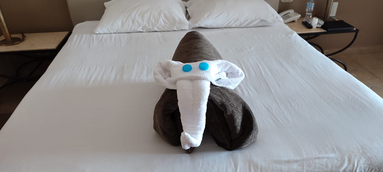 Zimmer Jaz Makadi Saraya Resort