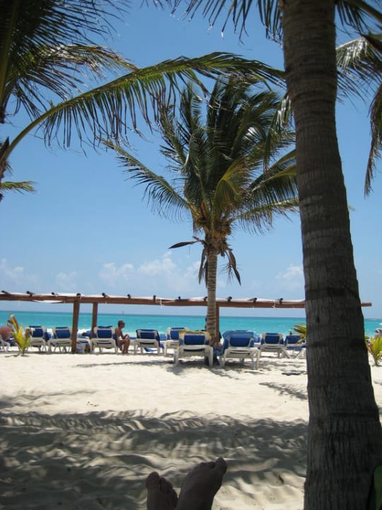 Täglicher Blick  Catalonia Playa Maroma