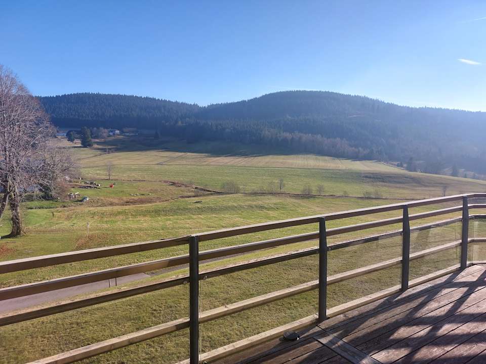 Ausblick derWaldfrieden naturparkhotel