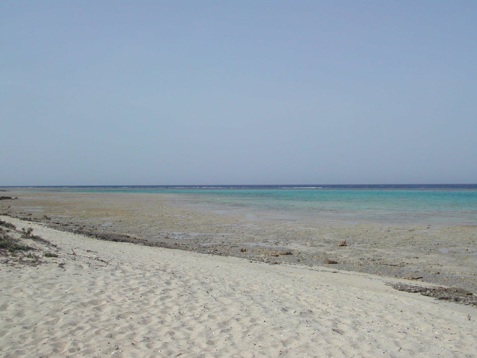 Der Strand bei Ebbe Hotel Gorgonia Beach Resort
