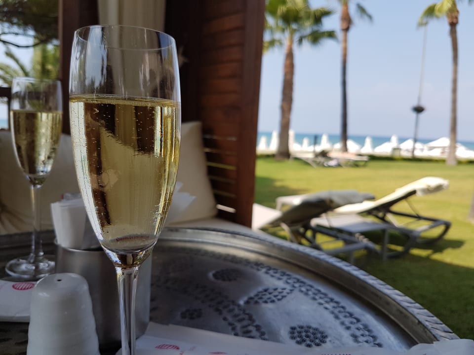 Restaurant Acanthus Cennet Barut Collection