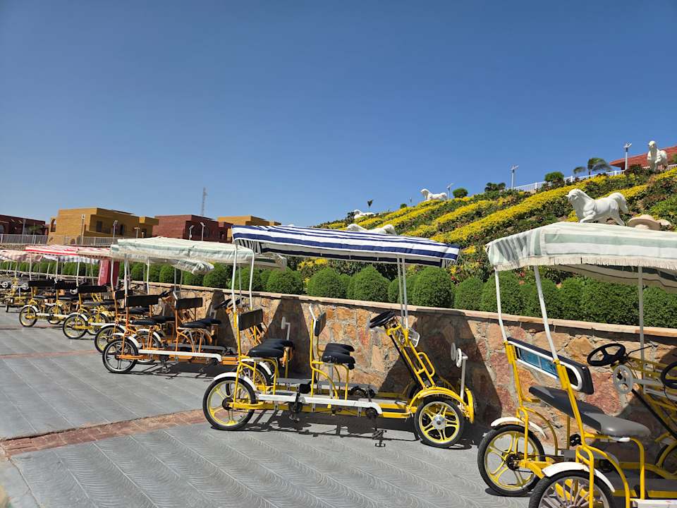 Gartenanlage Pickalbatros Vita Resort - Portofino Marsa Alam