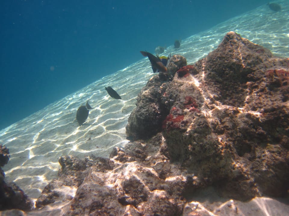 Hausriff Adaaran Club Rannalhi - All Inclusive