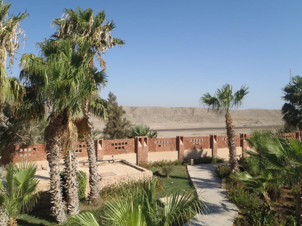 Ausblick Shams Alam Beach Resort