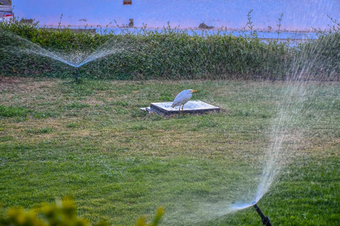 Garten Three Corners Equinox Beach Resort