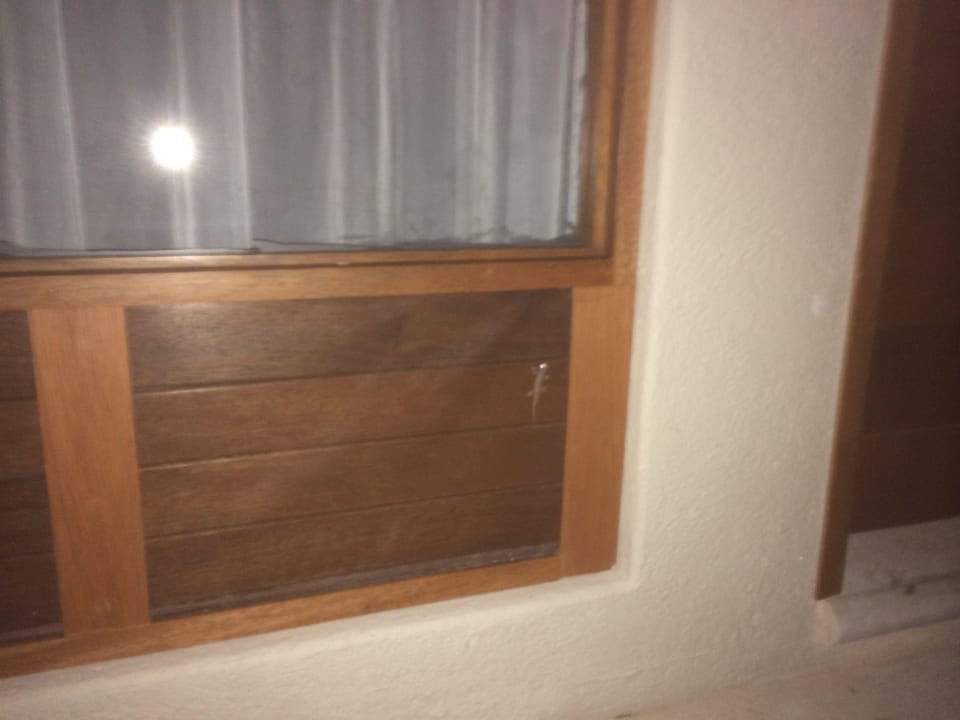 Gekko auf dem Weg ins Dach  Hotel Las Palapas