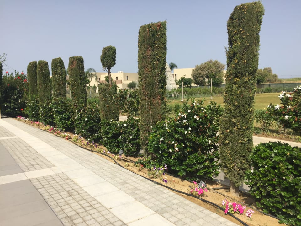 Gartenanlage Astir Odysseus Kos Resort & Spa