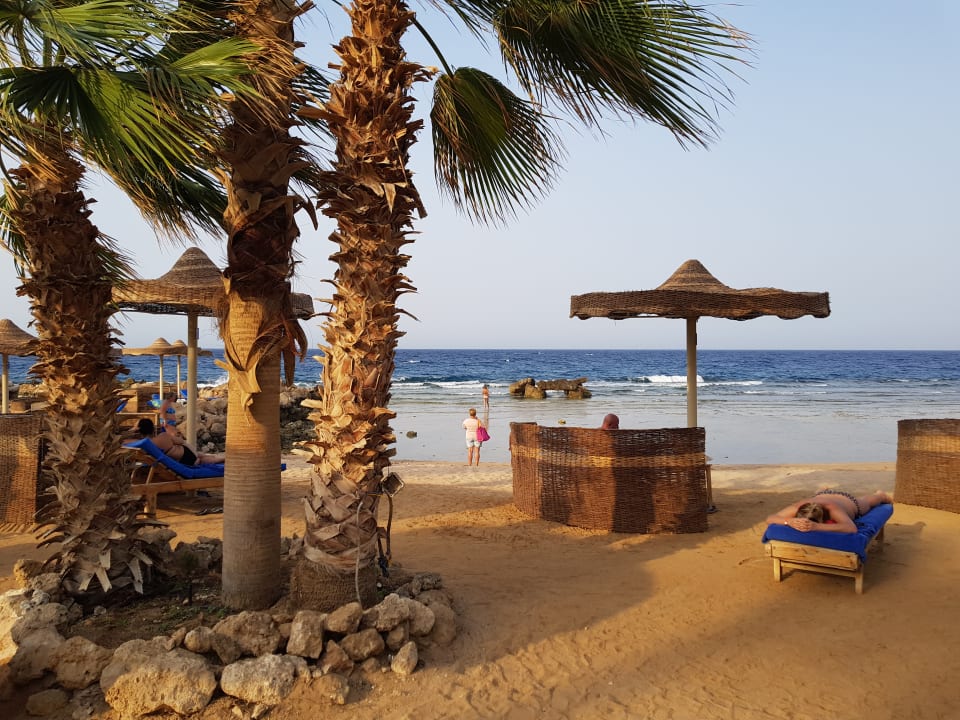 Strand Pickalbatros Citadel Resort