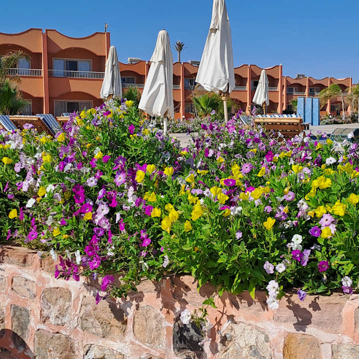 Außenansicht Three Corners Happy Life Beach Resort