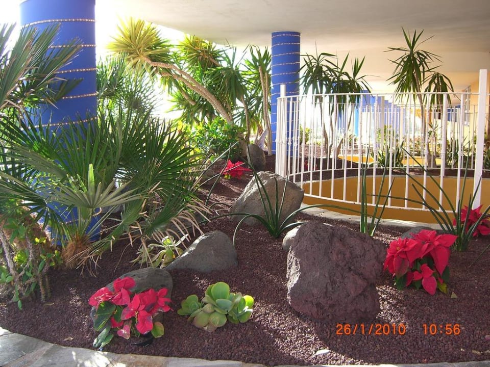 Eingangsbereich Hotel Club Hotel Drago Park