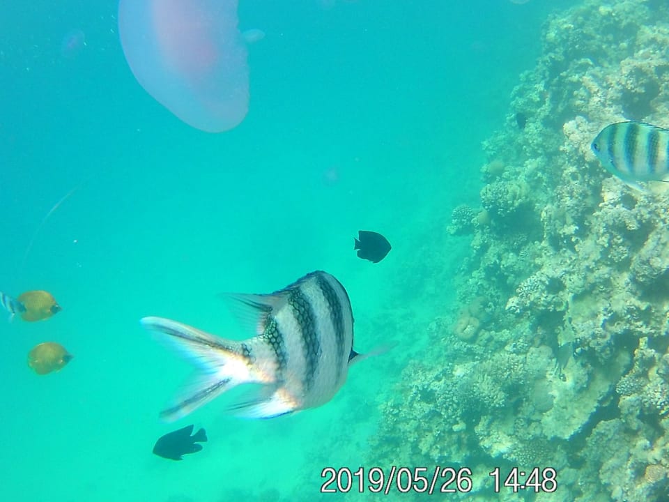 Sport & Freizeit Cleopatra Luxury Resort Makadi Bay