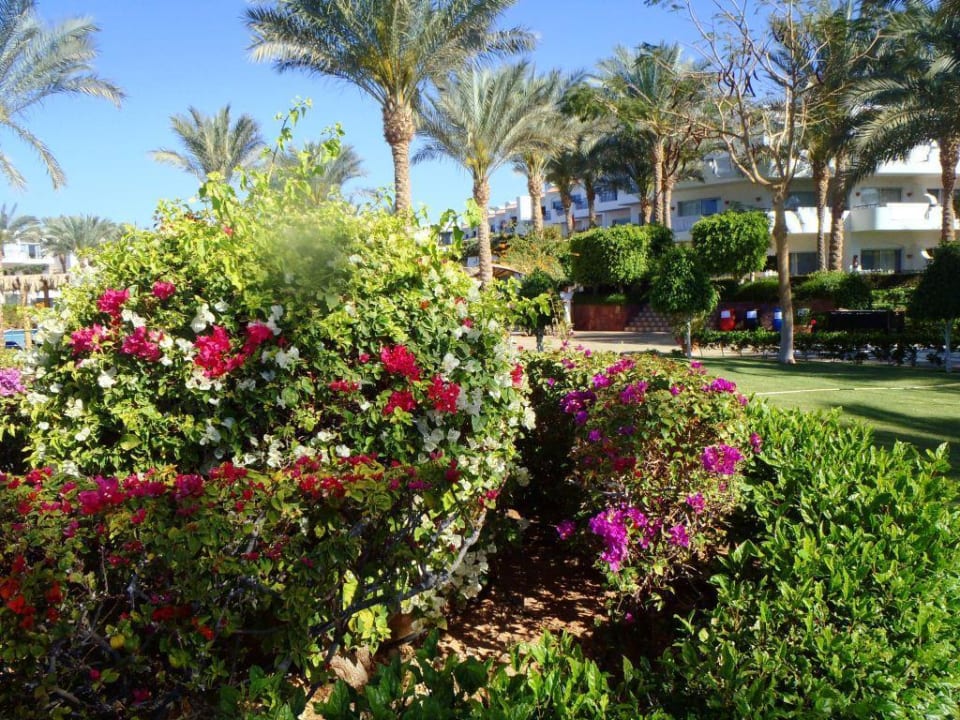 Garten JAZ Fanara Resort