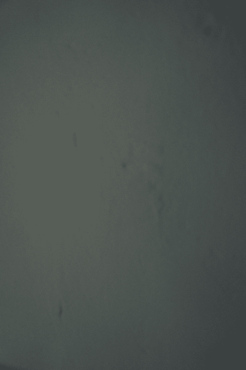 Zimmer Hotel Venus Beach