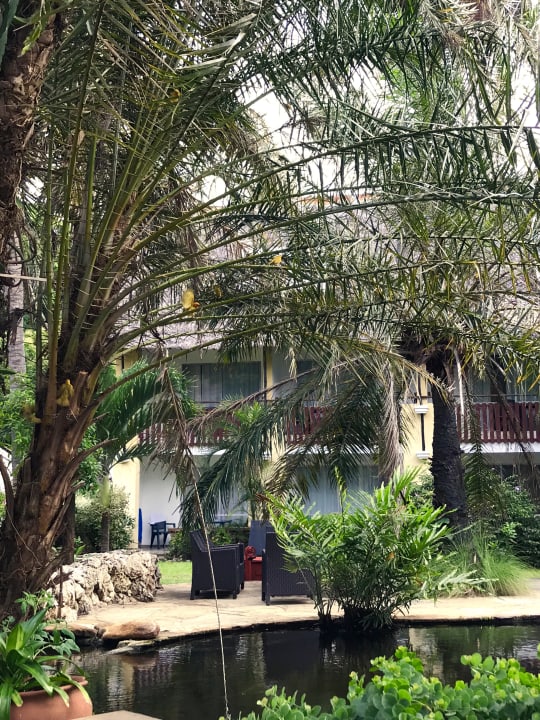 Gartenanlage Bahari Beach Hotel