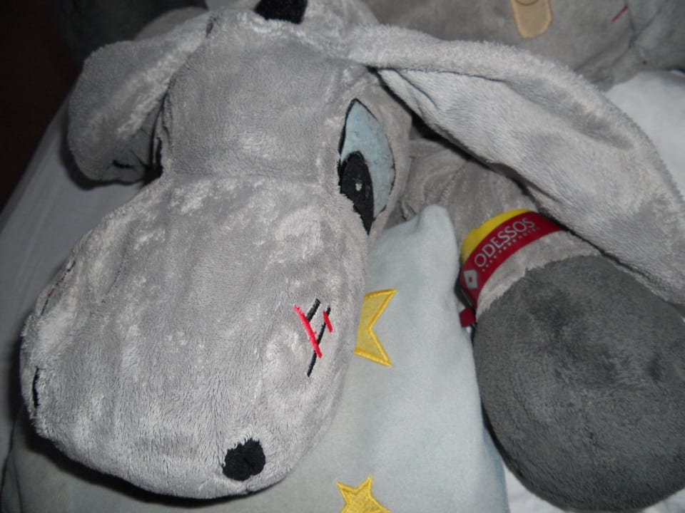 Wir lieben Odessos  Odessos Park Hotel