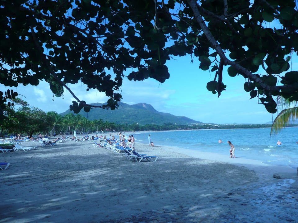 nochmal Strand Grand Paradise Playa Dorada