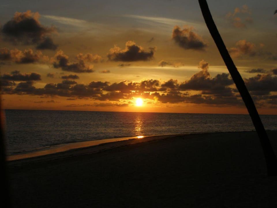 Einfach Traumhaft Catalonia Punta Cana - All Inclusive