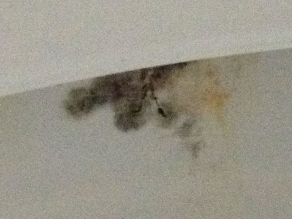 Schimmelpilz in der 'Toilette  Cleopatra Spa Hotel