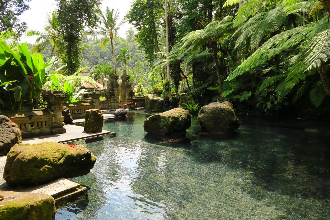  Holy Spring Pool Hotel The Royal Pita Maha
