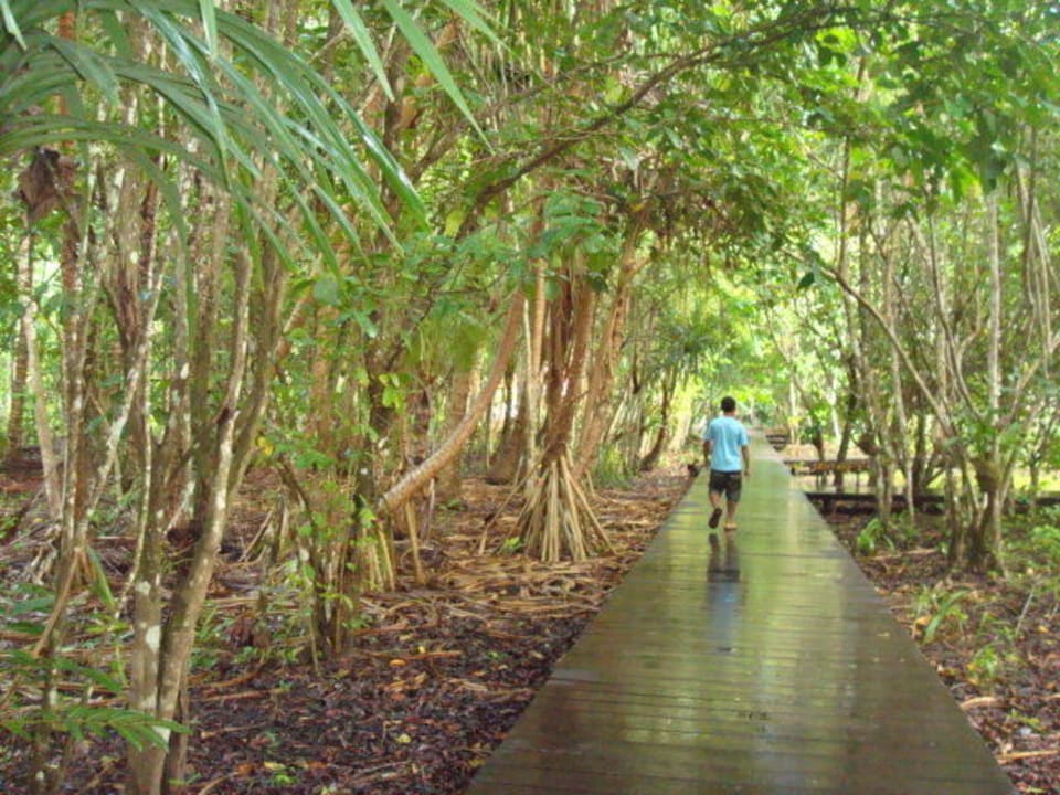 Holzstege verbinden die Gebäude Sorido Bay Resort