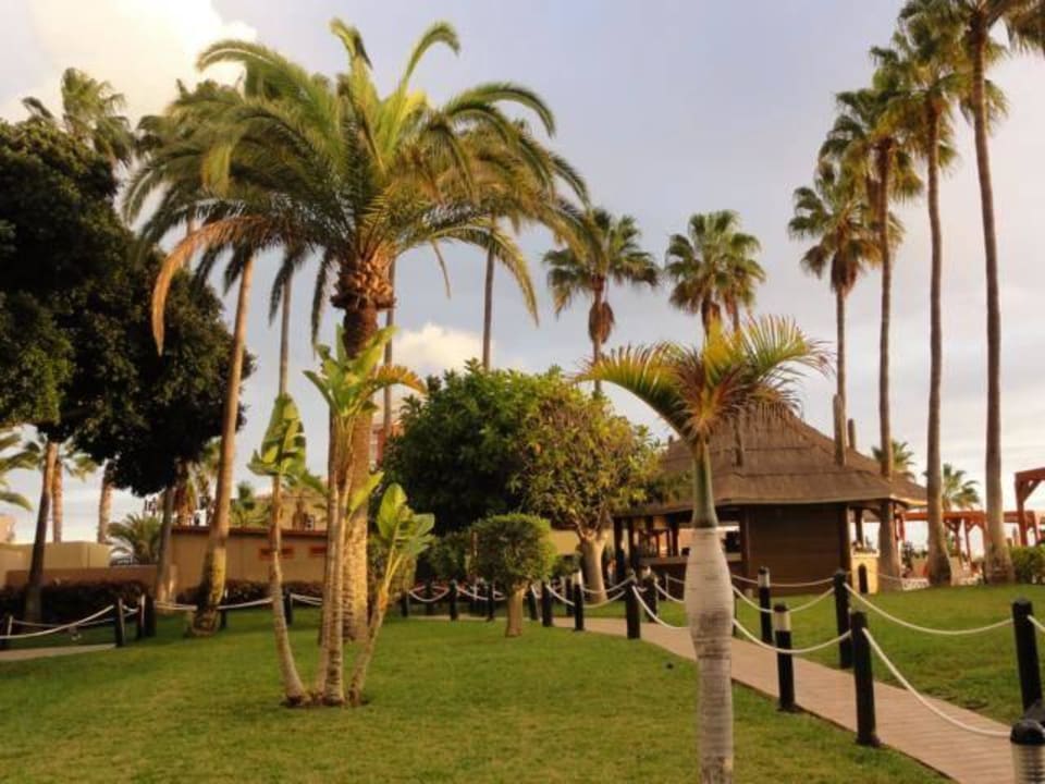 Poolbar im Garten Iberostar Waves Bouganville Playa