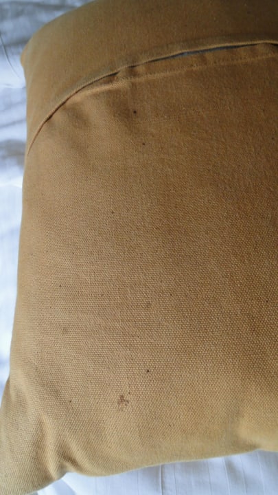 Flecken auf Zierkissen Hotel Jetwing Sea