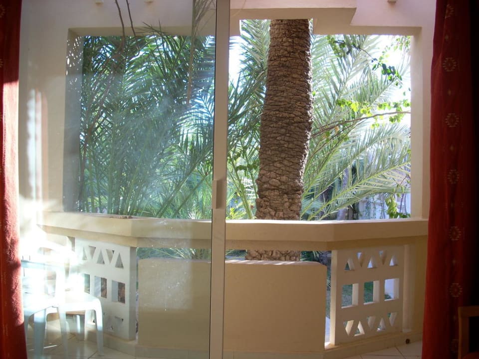 Blick aus Zimmer 2140 - kleiner Balkon wegen Palme Zita Beach Resort