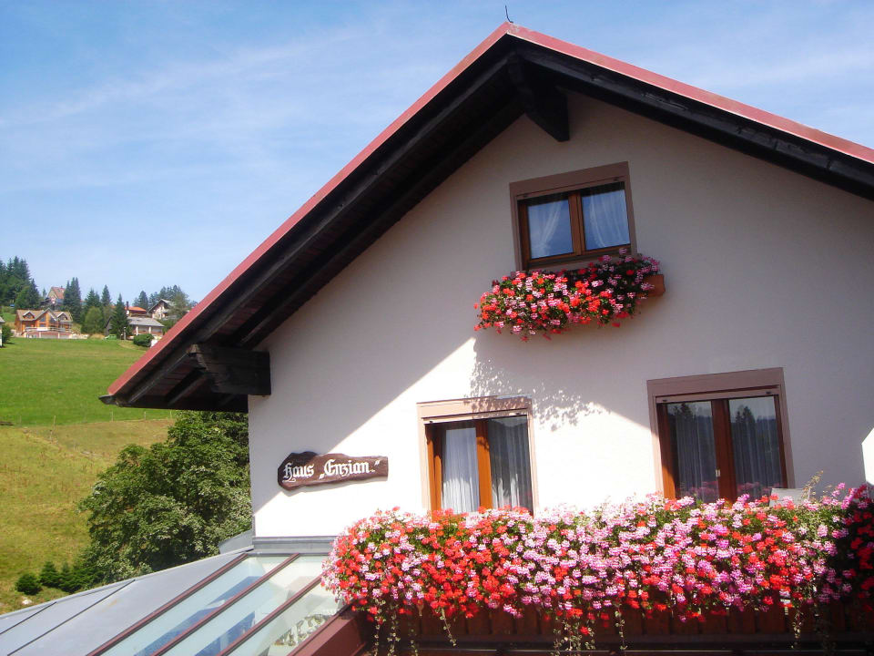 Pension Enzian Hotel Enzian