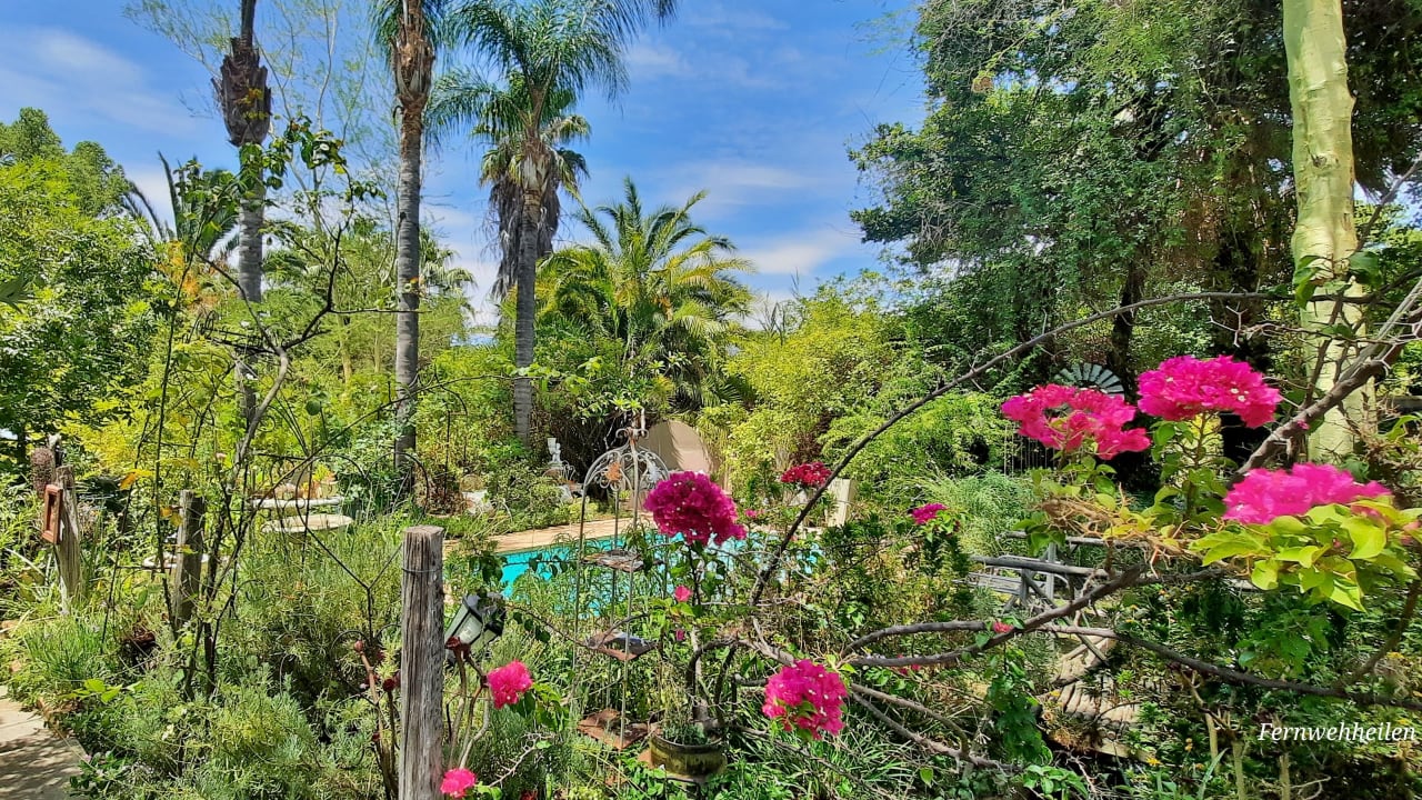 Gartenanlage Yellow Aloe Guest House