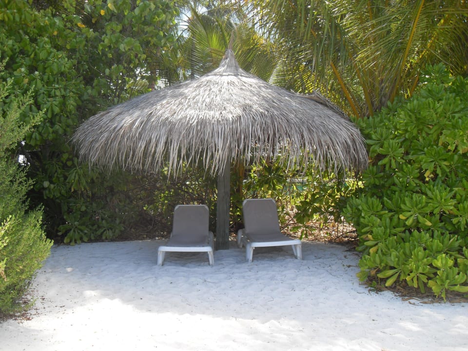 Hotel Veligandu Island Resort Veligandu Maldives Resort Island