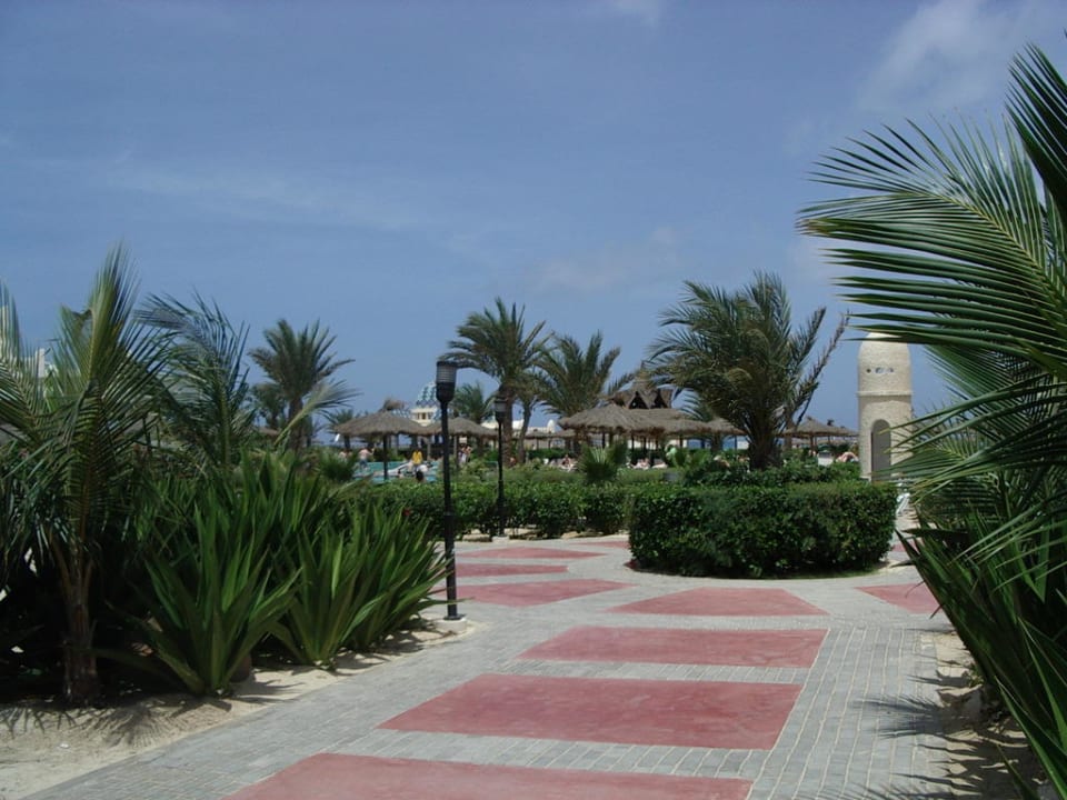 Hier gehts zum POOL Hotel Riu Karamboa