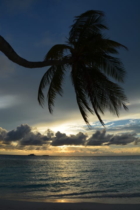 Strand Meeru Maldives Resort Island