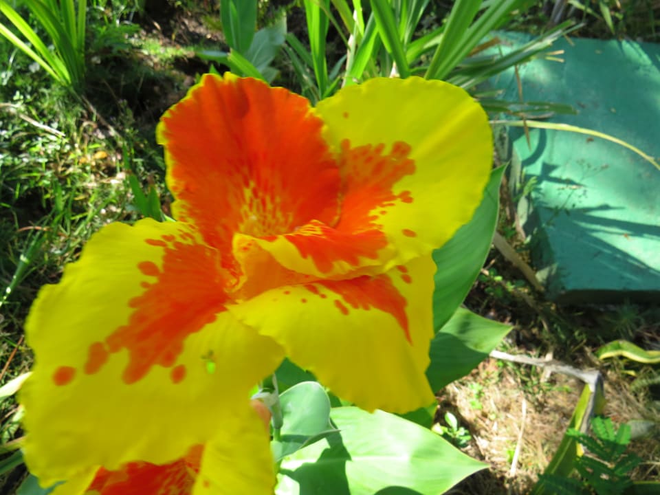 Gartenanlage Sol Rio De Luna y Mares